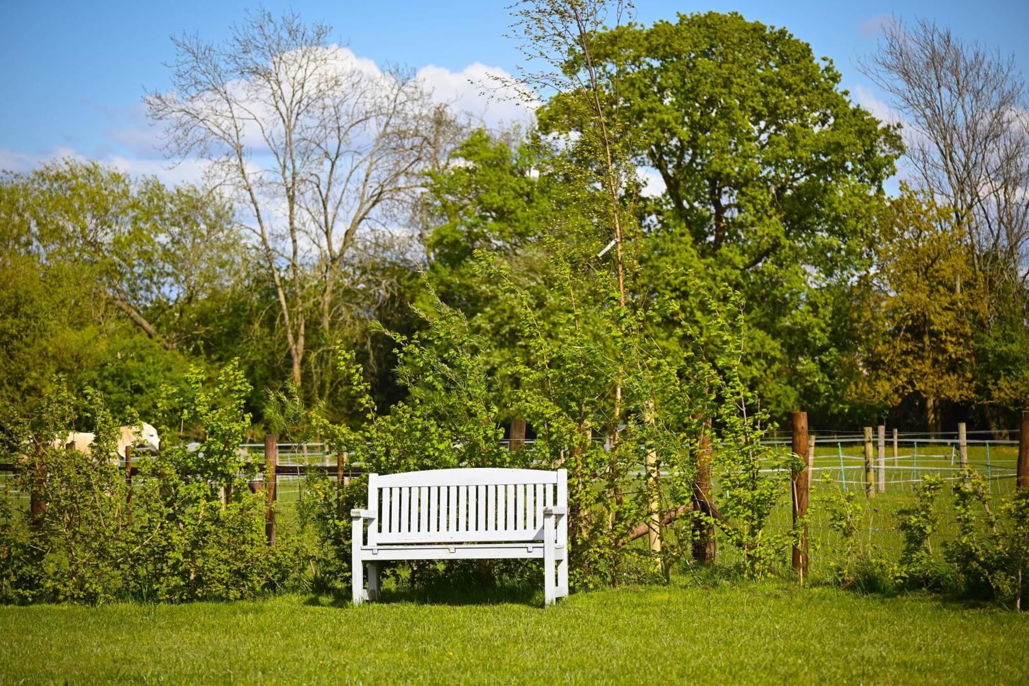 Bluebell Cabin Badsey Exteriör bild